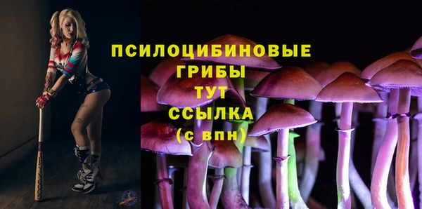 а пвп мука Березники