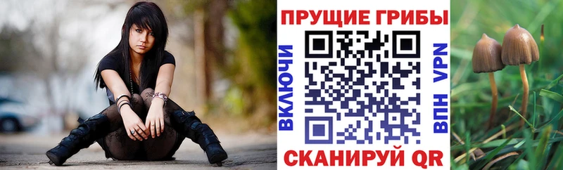МЕГА ССЫЛКА  где продают наркотики  Балей  Галлюциногенные грибы MAGIC MUSHROOMS 
