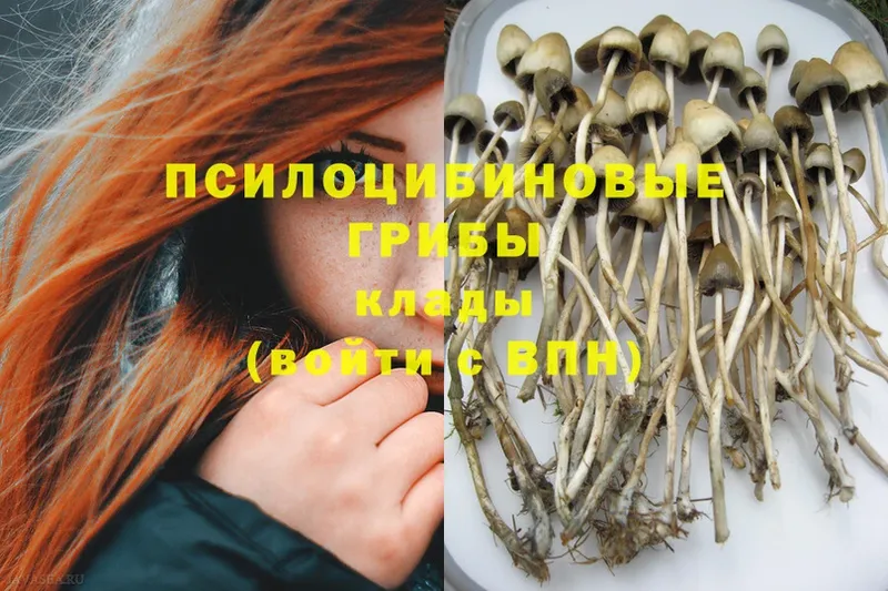 Галлюциногенные грибы Magic Shrooms  Балей 